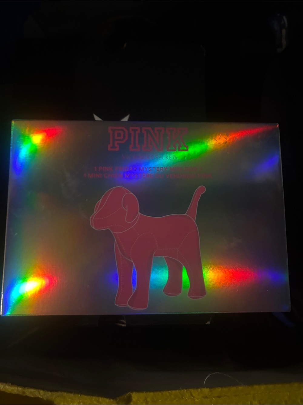 PINK Victoria's Secret mystery Box with Pink Dog
